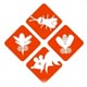 加氣塊設(shè)備-東岳機(jī)械集團(tuán)專(zhuān)業(yè)的加氣砌塊生產(chǎn)線(xiàn)，加氣混凝土砌塊設(shè)備提供商